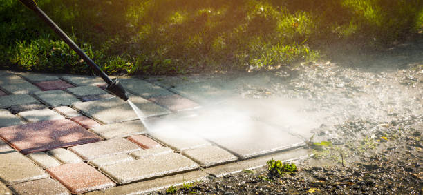 Best Animal Enclosure Cleaning  in Munroe Falls, OH